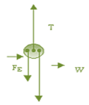 item12c elec