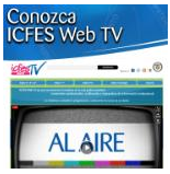 icfestv